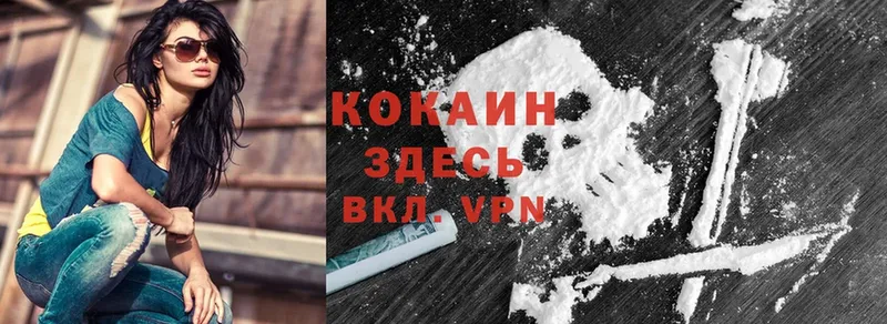 Cocaine 98%  Буйнакск 